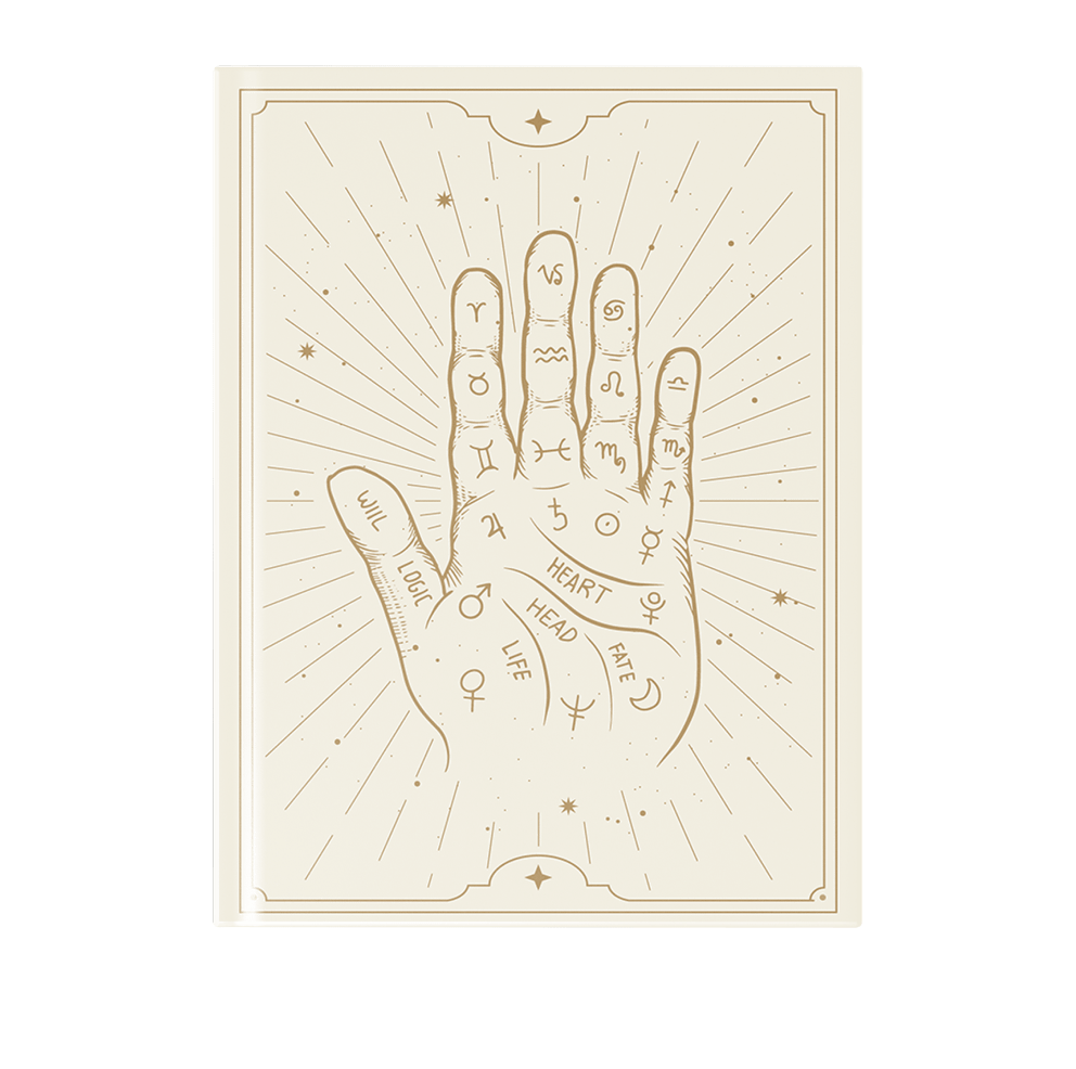 Palmistry Book White